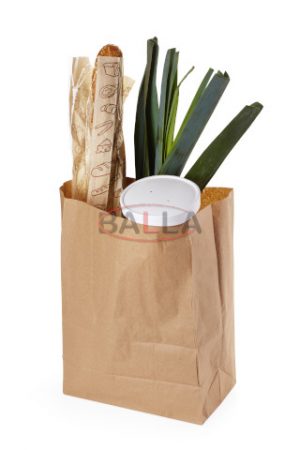 ECO papirnata vrećica, ECO BAG 220